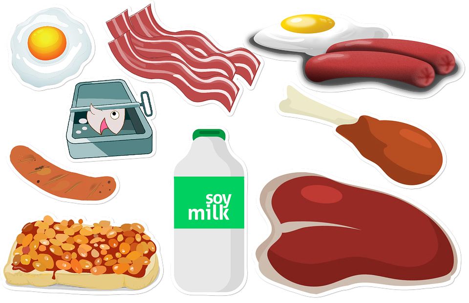 Non Protein Food: Healthy Alternatives Explained