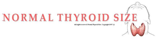 Normal Size Thyroid Gland