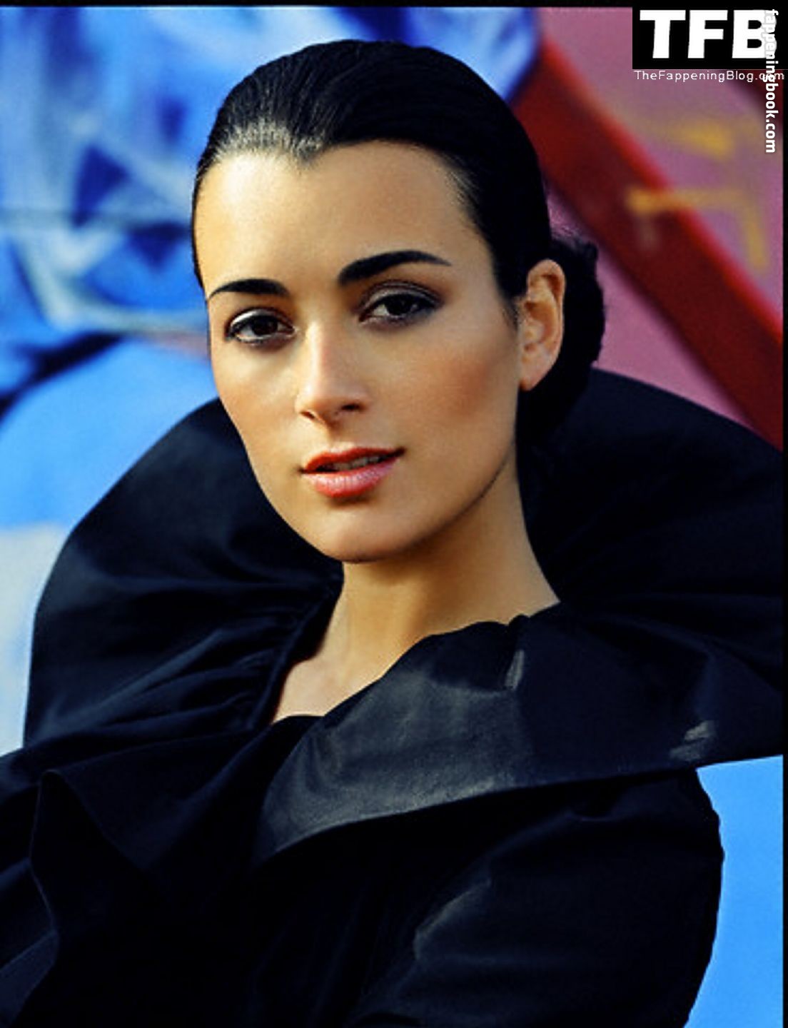 Nude Pictures Cote De Pablo