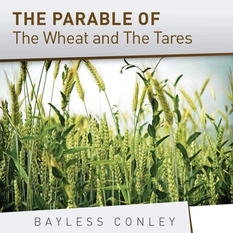 Parable Of Tares And Wheat