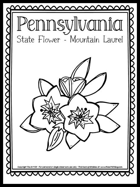 Pennsylvania State Flower: Discover Its Beauty