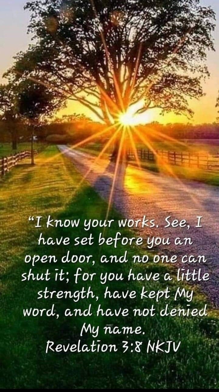 Plants Bible Verse