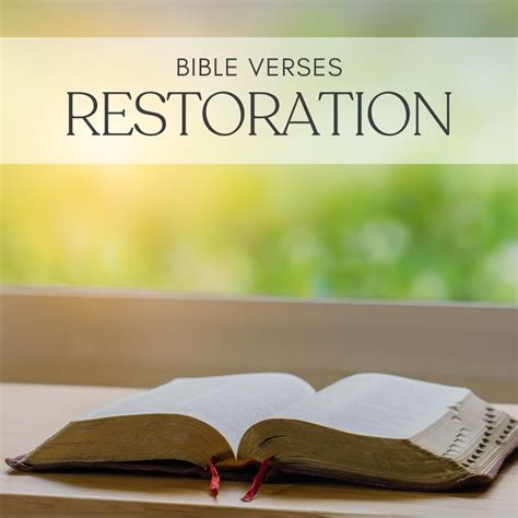 Restoration Bible Guide: Recover & Renew