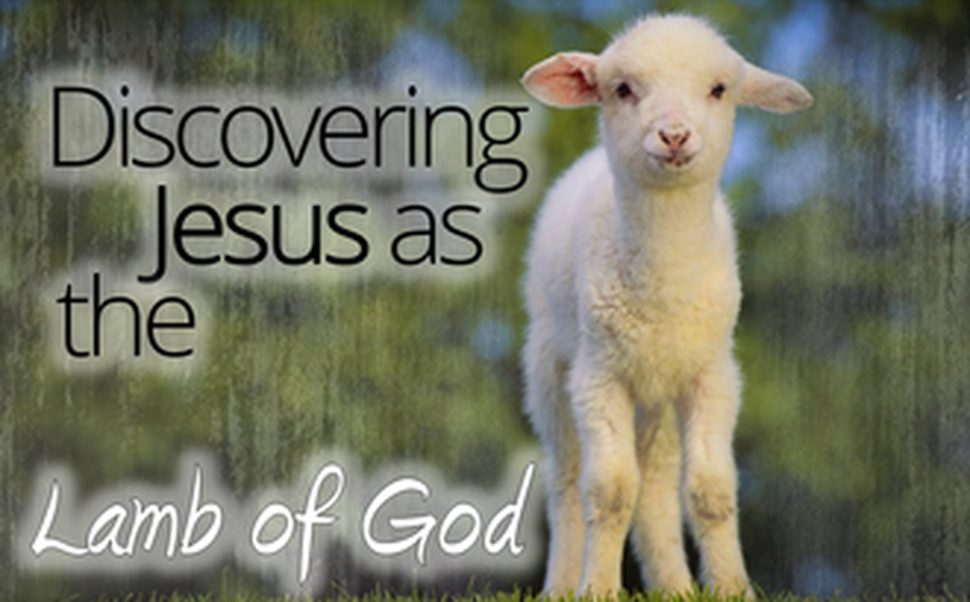 Revelation Lamb: Discovering Jesus' Divine Purpose