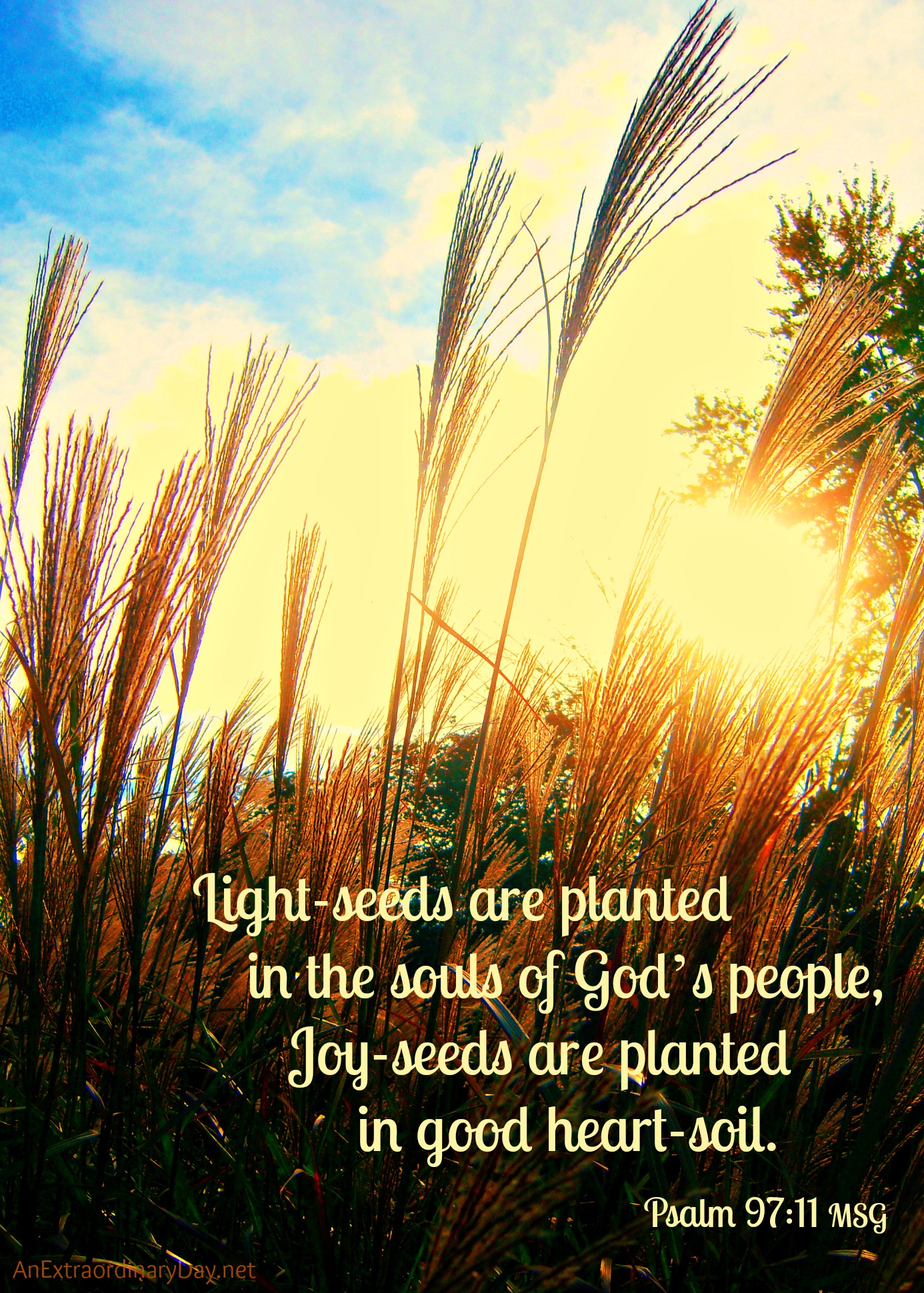 Scripture Planting Seeds Effectively