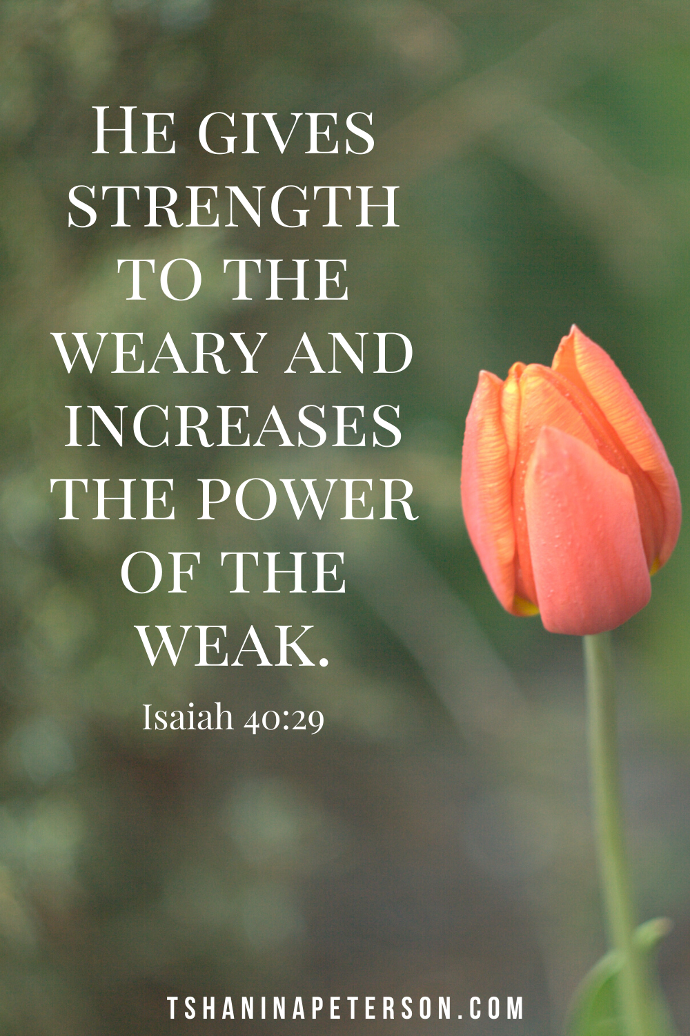 Scriptures For Encouragement For Women