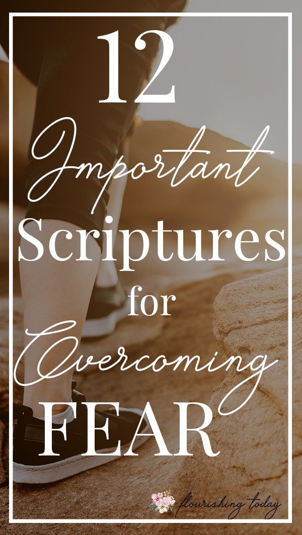 Scriptures On Overcoming Gluttony