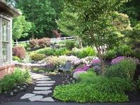 Septic Drain Field Landscaping