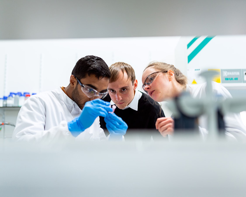 Silicon Applications Revealed: Industry Insights Silicon Applications Revealed: Industry Insights