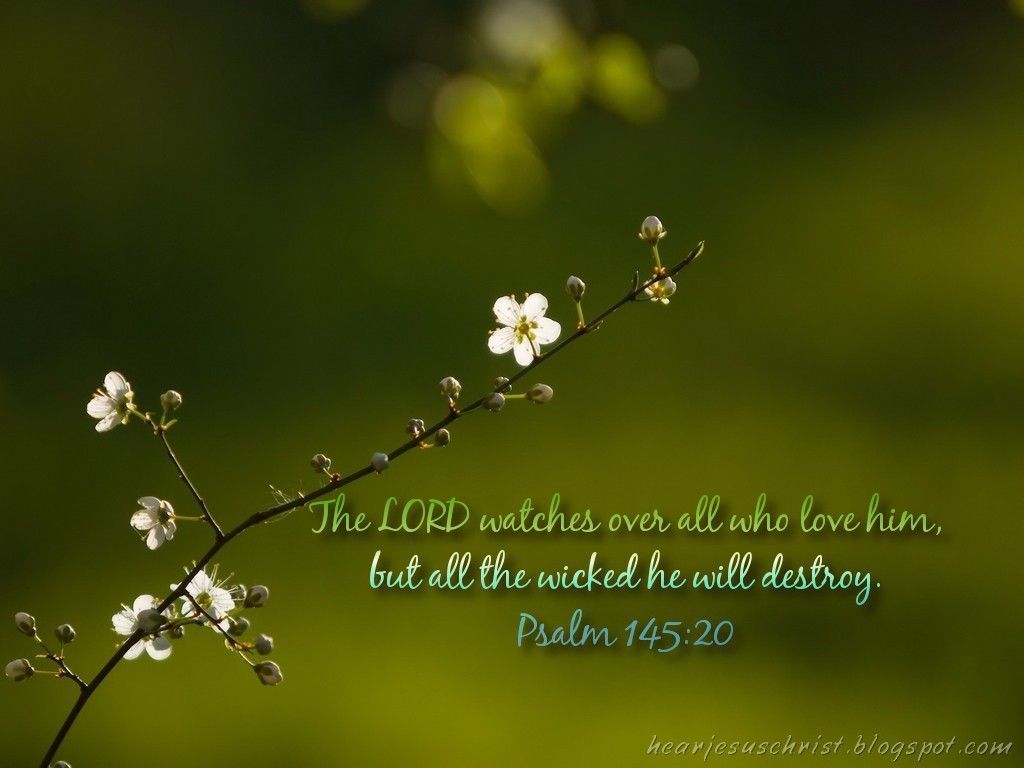 Spring Bible Verse Insights: Renewal Explained