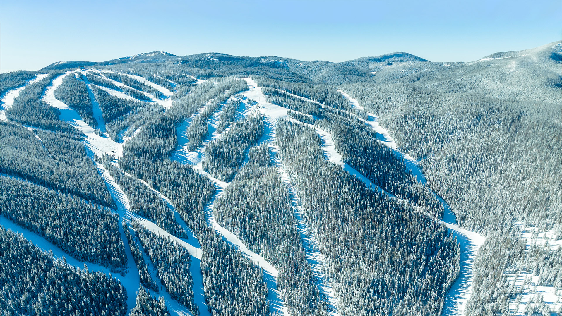 Sunrise Park Ski Resort: Best Trails For Beginners