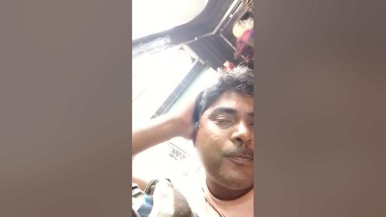 سوپر سکسی حیوانات