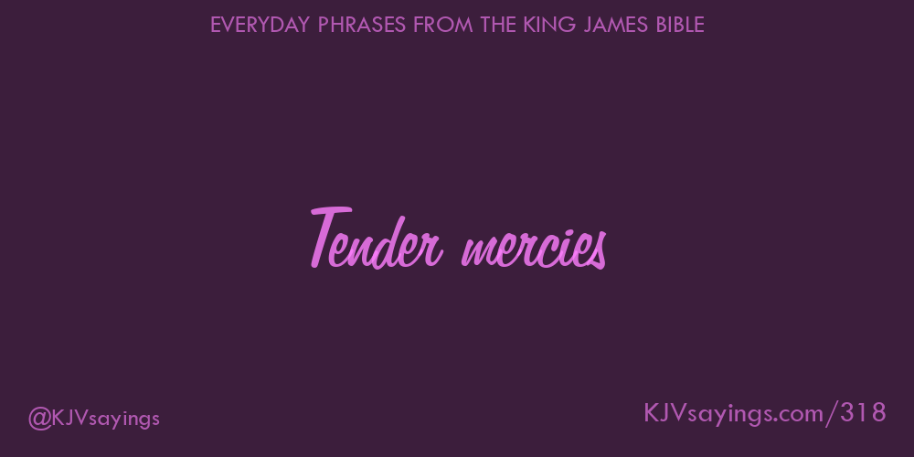 Tender Mercies Bible Verse: God's Loving Care
