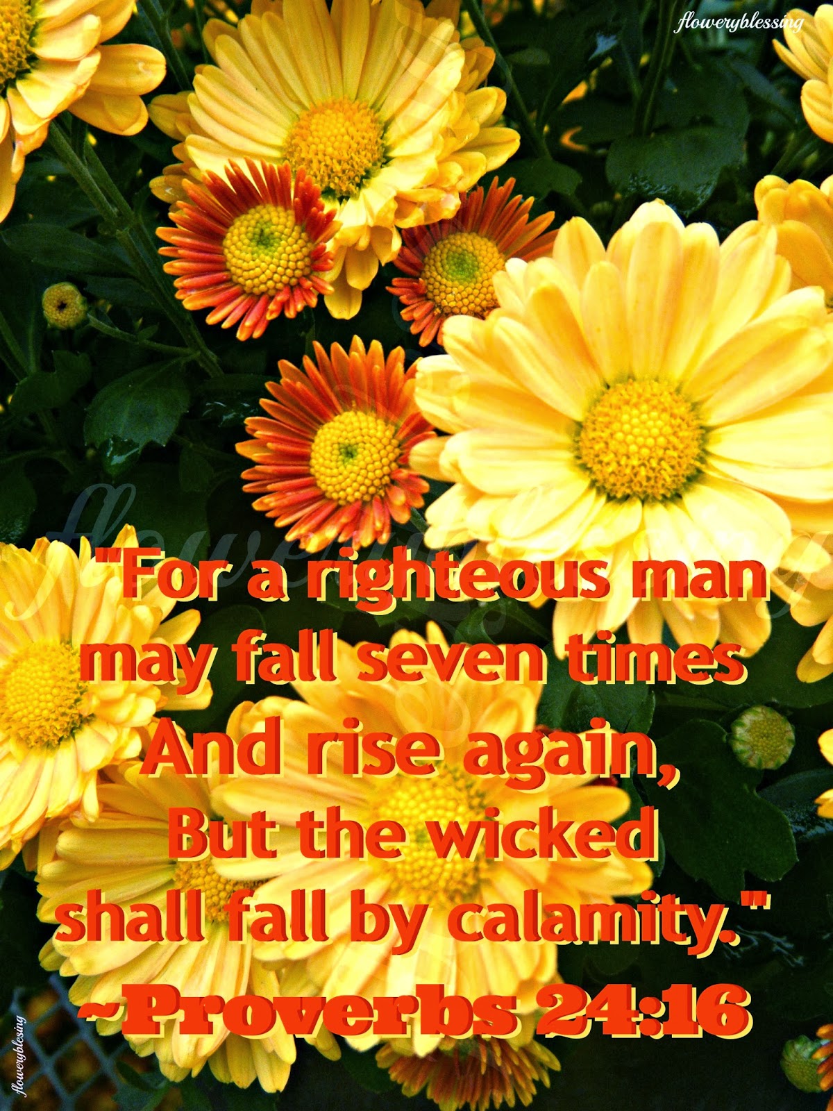 The Righteous Fall Seven Times
