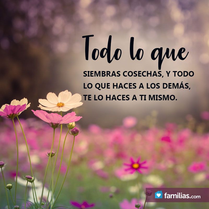 Todo Lo Que Siembras Cosechas