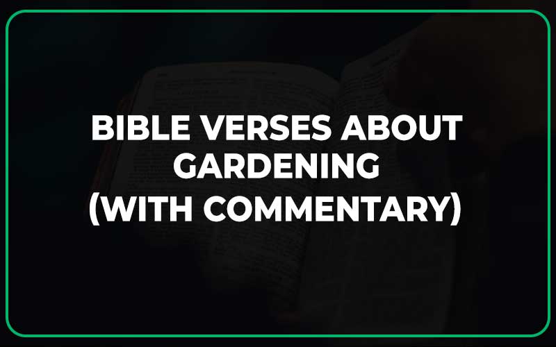 Top 25 Bible Verses About Gardening With Commentary Scripture Savvy