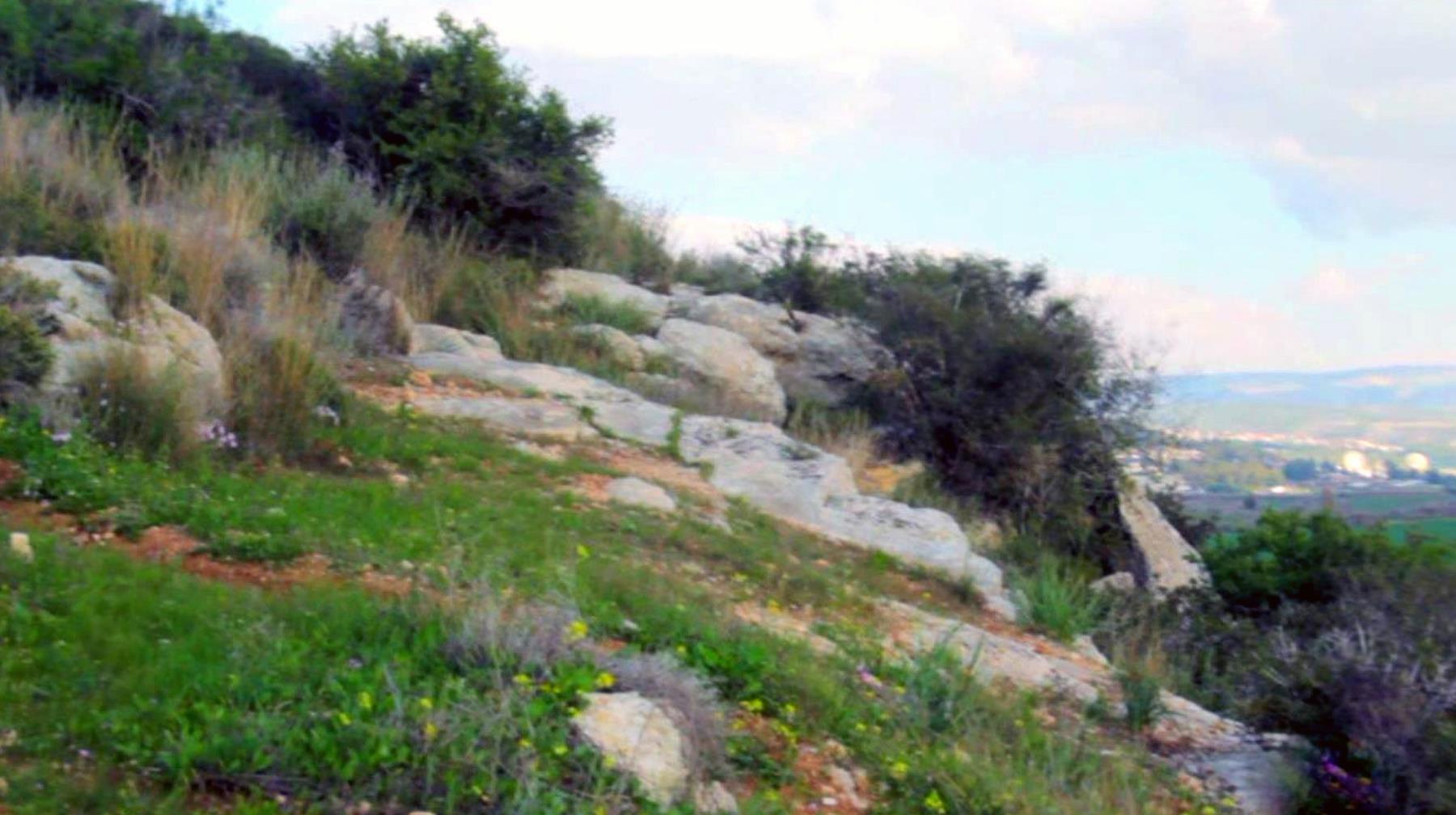 Valley Of Elah Bible Verse
