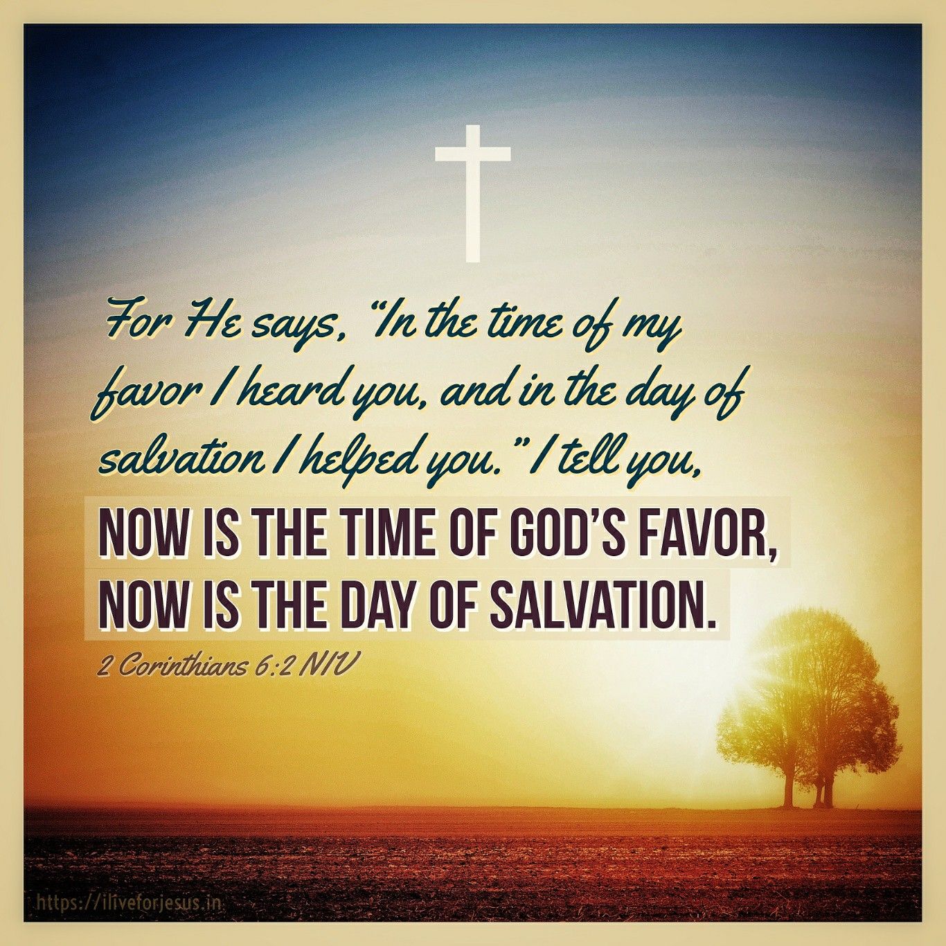 Verses About God's Favor