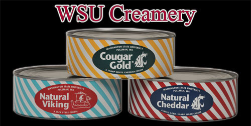 Washington State Cougar Gold Cheese