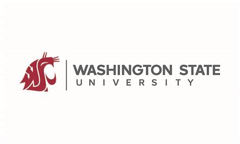 Washington State University Email Address