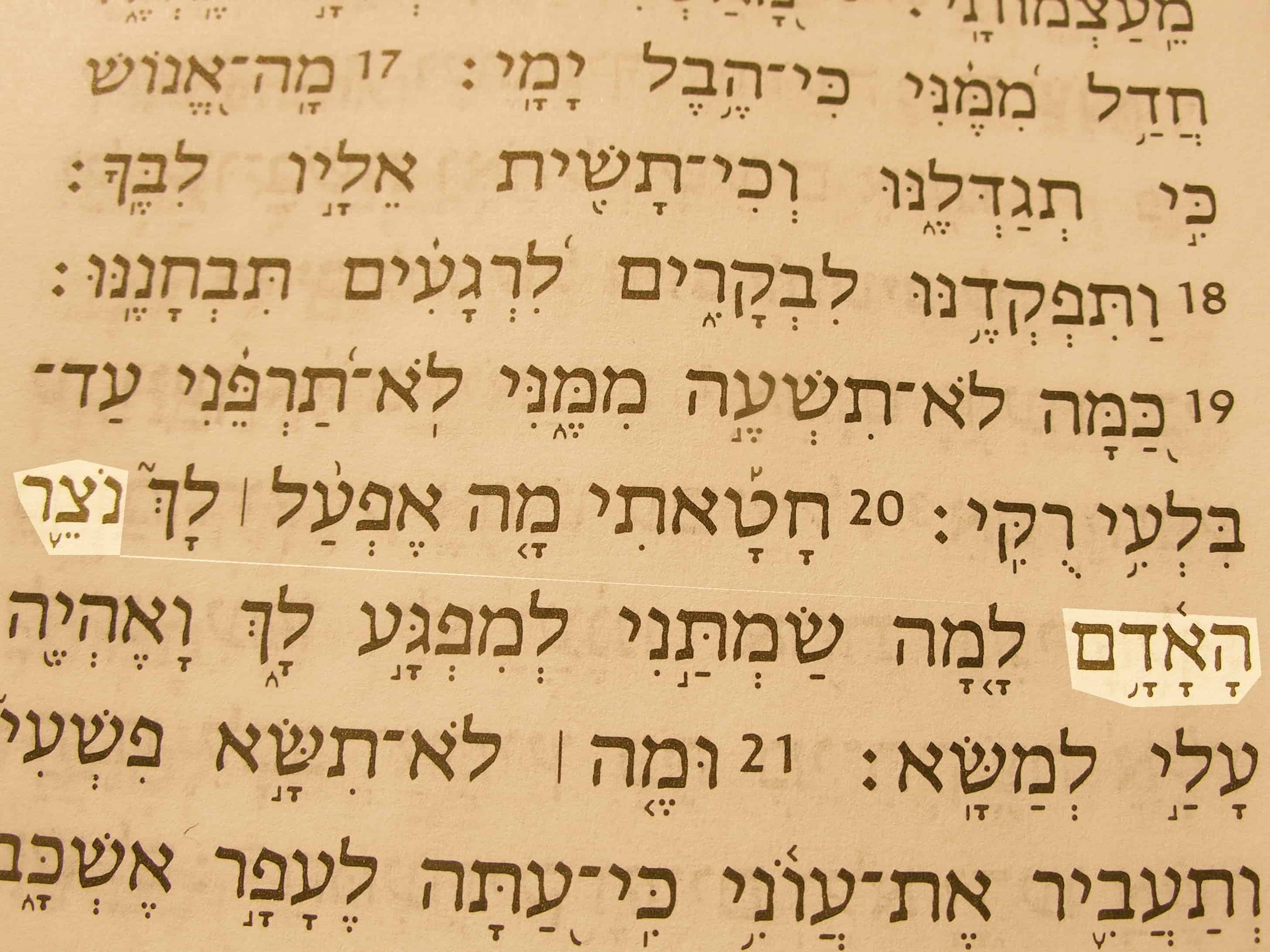 Watcher In Hebrew