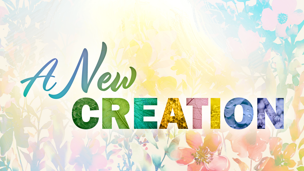 We Are A New Creation We Are A New Creation
