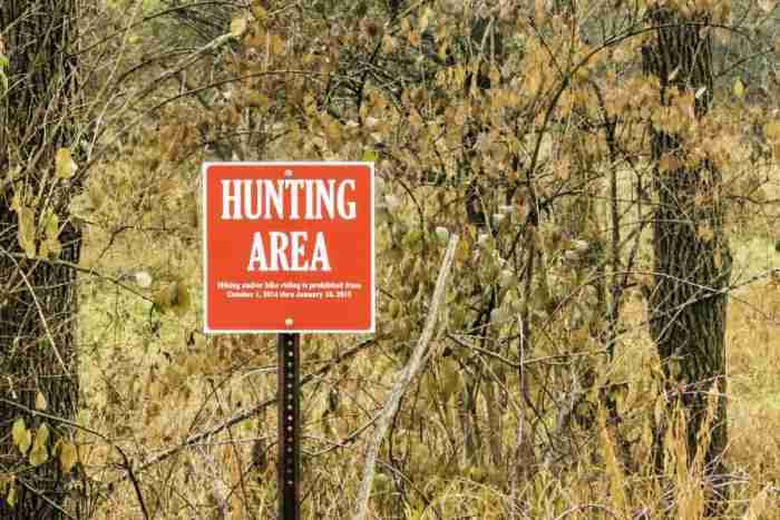 What Are Georgia Doe Hunting Rules? Regulations Inside