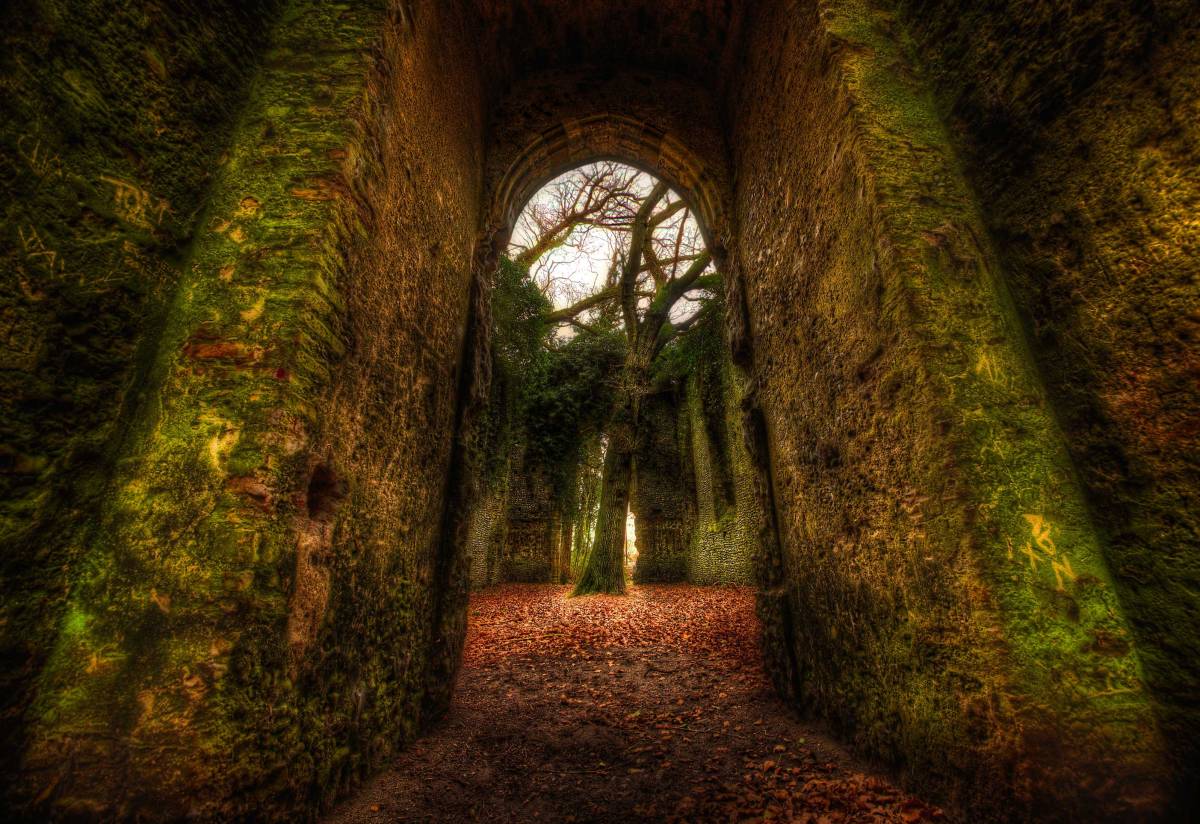 What Are God's Mysterious Ways? Find Answers