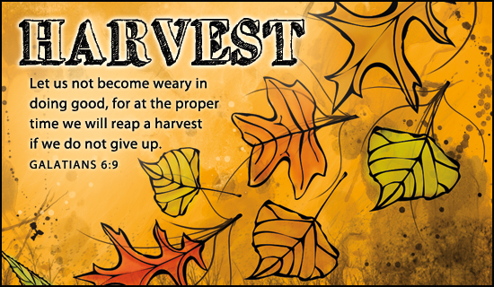 What Are Harvest Bible Quotes? Spiritual Guidance Found
