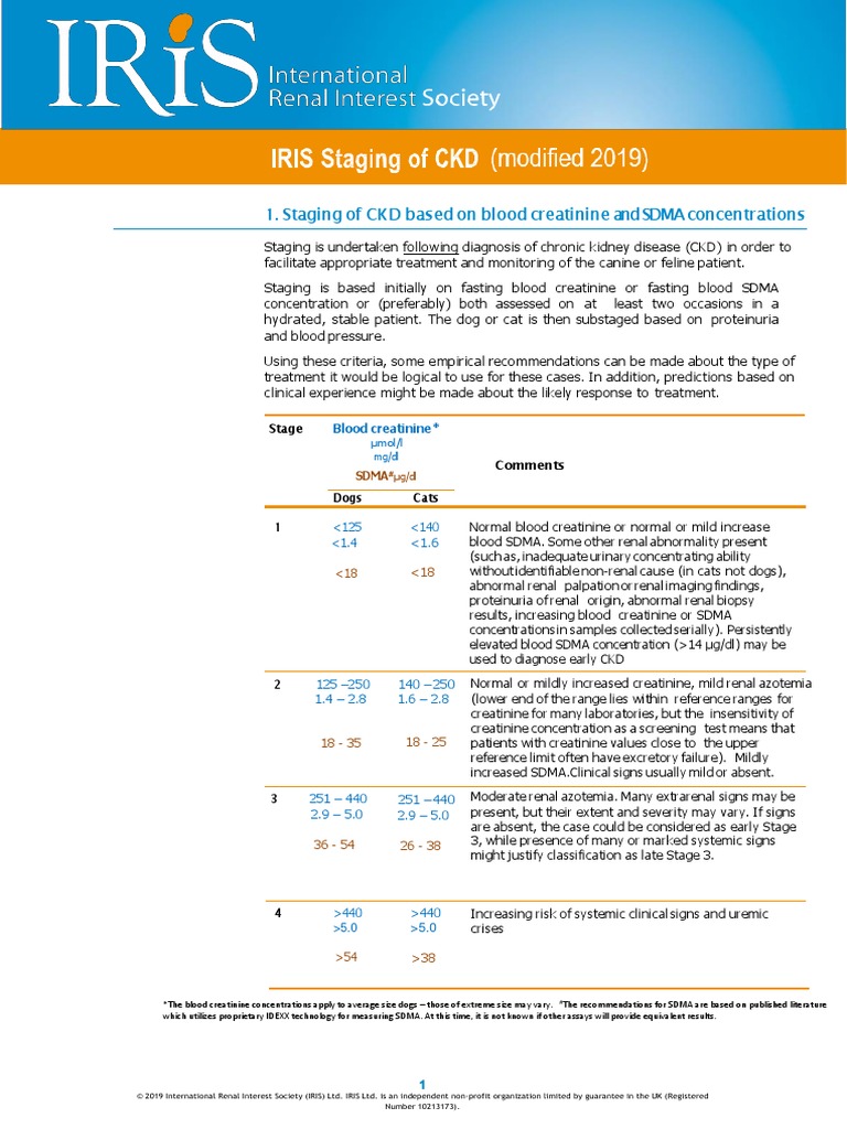 What Are Iris Staging Guidelines? Simplify Diagnosis