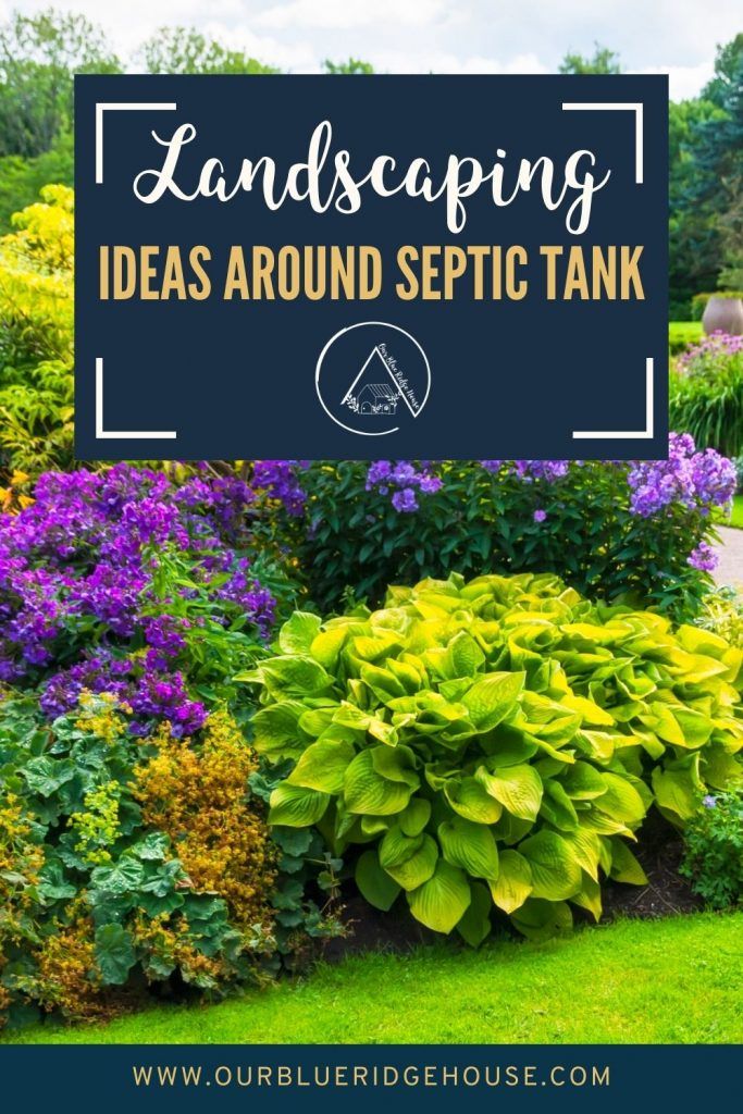 What Are Risks Of Landscaping Over Septic? Safe Solutions