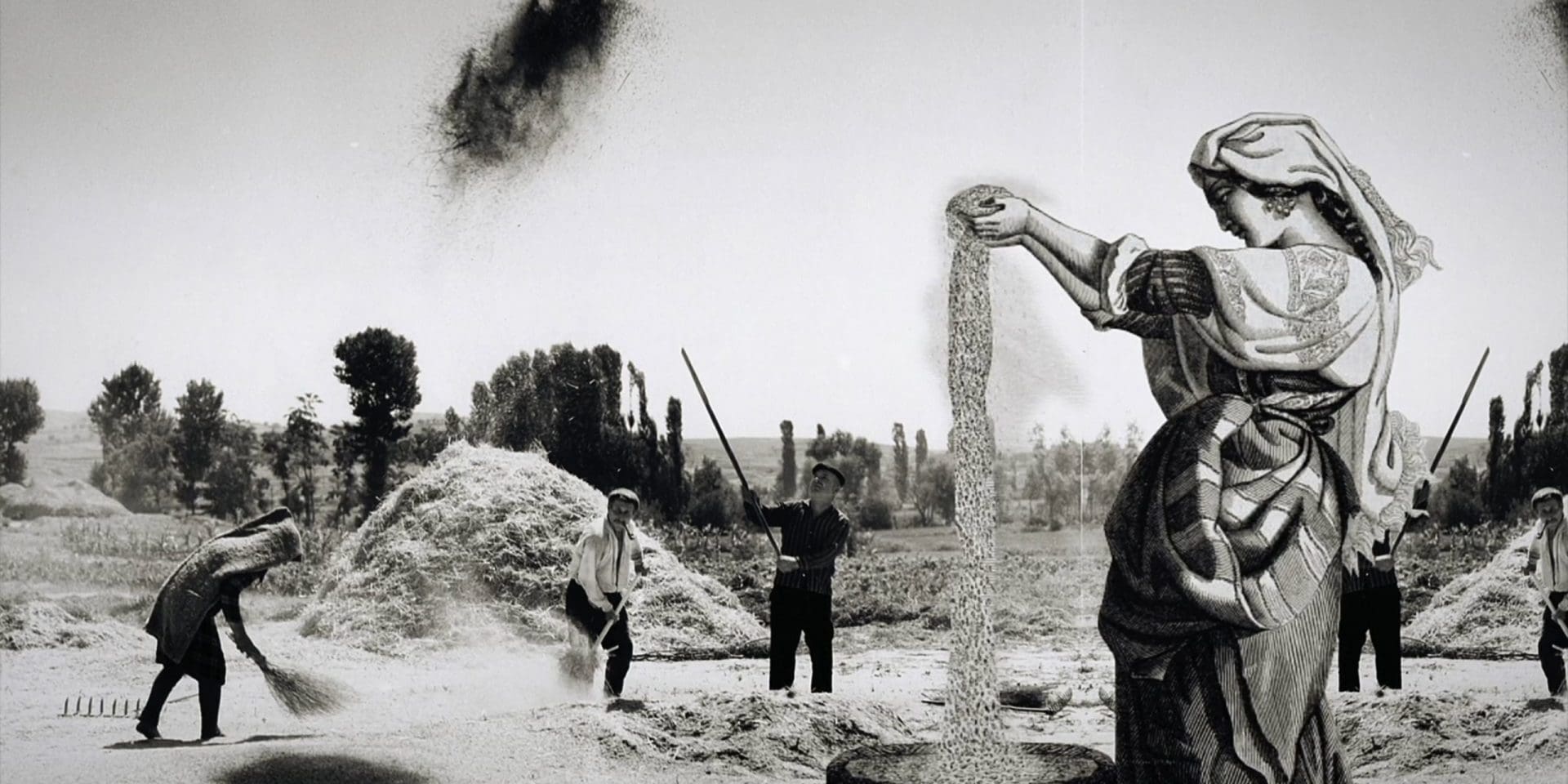 What Are Sheaves In Bible? Harvesting Truth