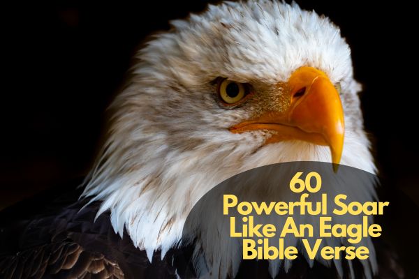What Bible Verse Mentions Eagles? Soar With Faith
