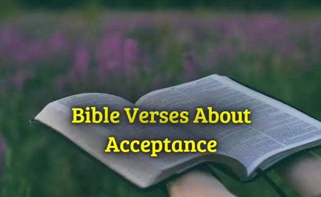 What Bible Verses Promote Acceptance? Find Inner Peace What Bible Verses Promote Acceptance? Find Inner Peace