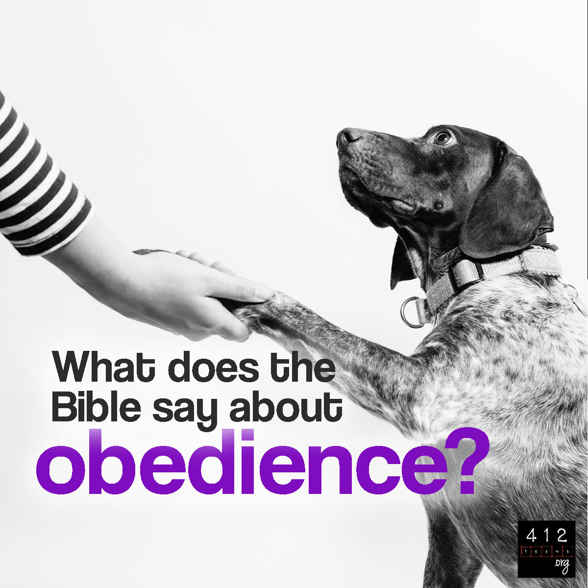 What Does Bible Say About Obedience? God's Plan