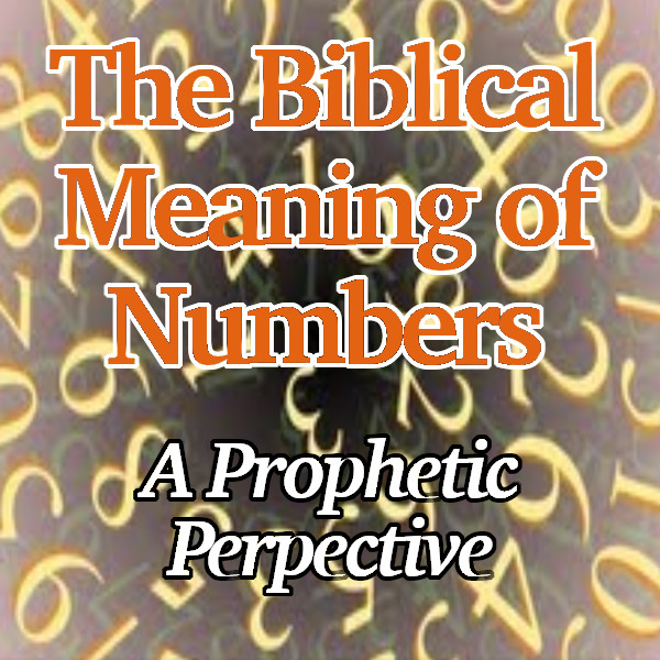 What Does Exodo 24 8 Mean? Biblical Insight