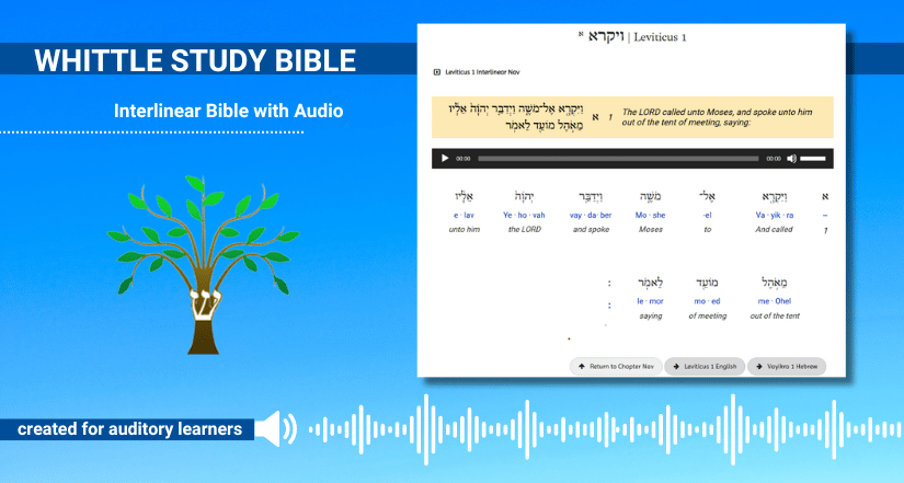 What Does Genesis 4 Interlinear Mean? Bible Study Aid