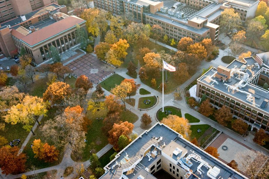 What Does Umich Require? Counselor Rec Guide
