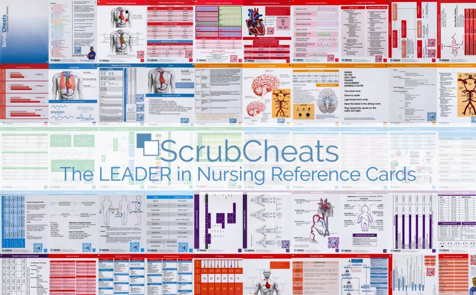 What Fits In Ipad Mini Scrub Pocket? Essentials Guide