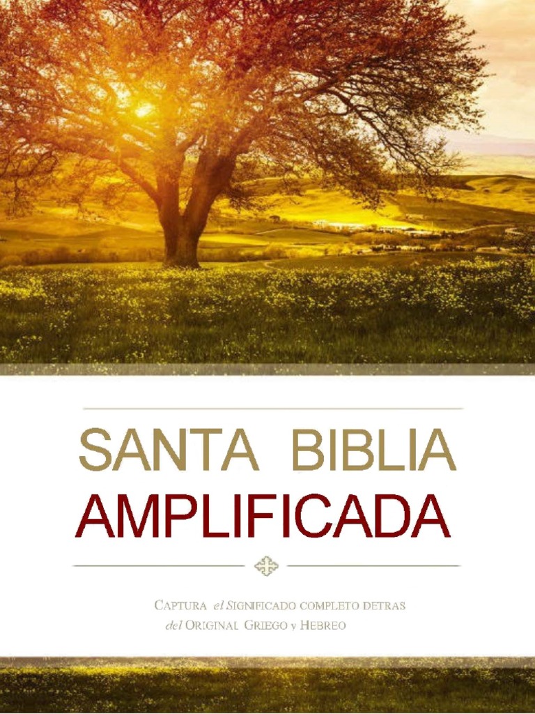 What Is Biblia Amplificada En Español? Study Guide