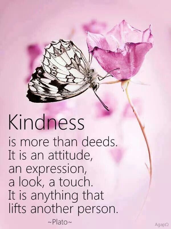 What Is Biblical Kindness? A Christian Guide