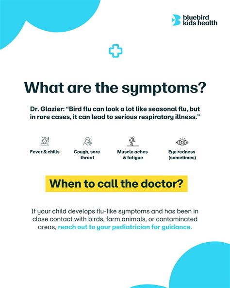 What Is Bluebird Kids Health? Expert Guidance