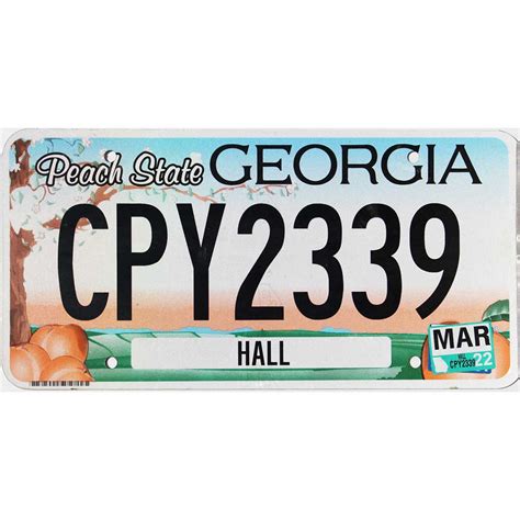 What Is Georgia's License Plate Requirement? Easy Guide