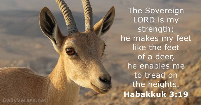 What Is Habakkuk 3 19 Meaning? Spiritual Guidance
