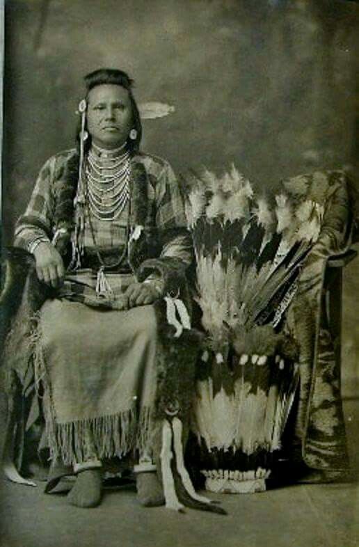What Is Swan Necklace Nez Perce? Cultural Significance What Is Swan Necklace Nez Perce? Cultural Significance