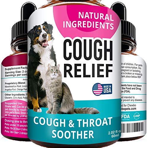 What Is The Best Cough Medicine For Dogs What Is The Best Cough Medicine For Dogs