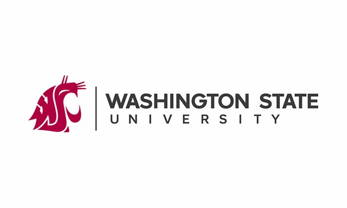 What Is Wsu Outlook Login? Access Your Email