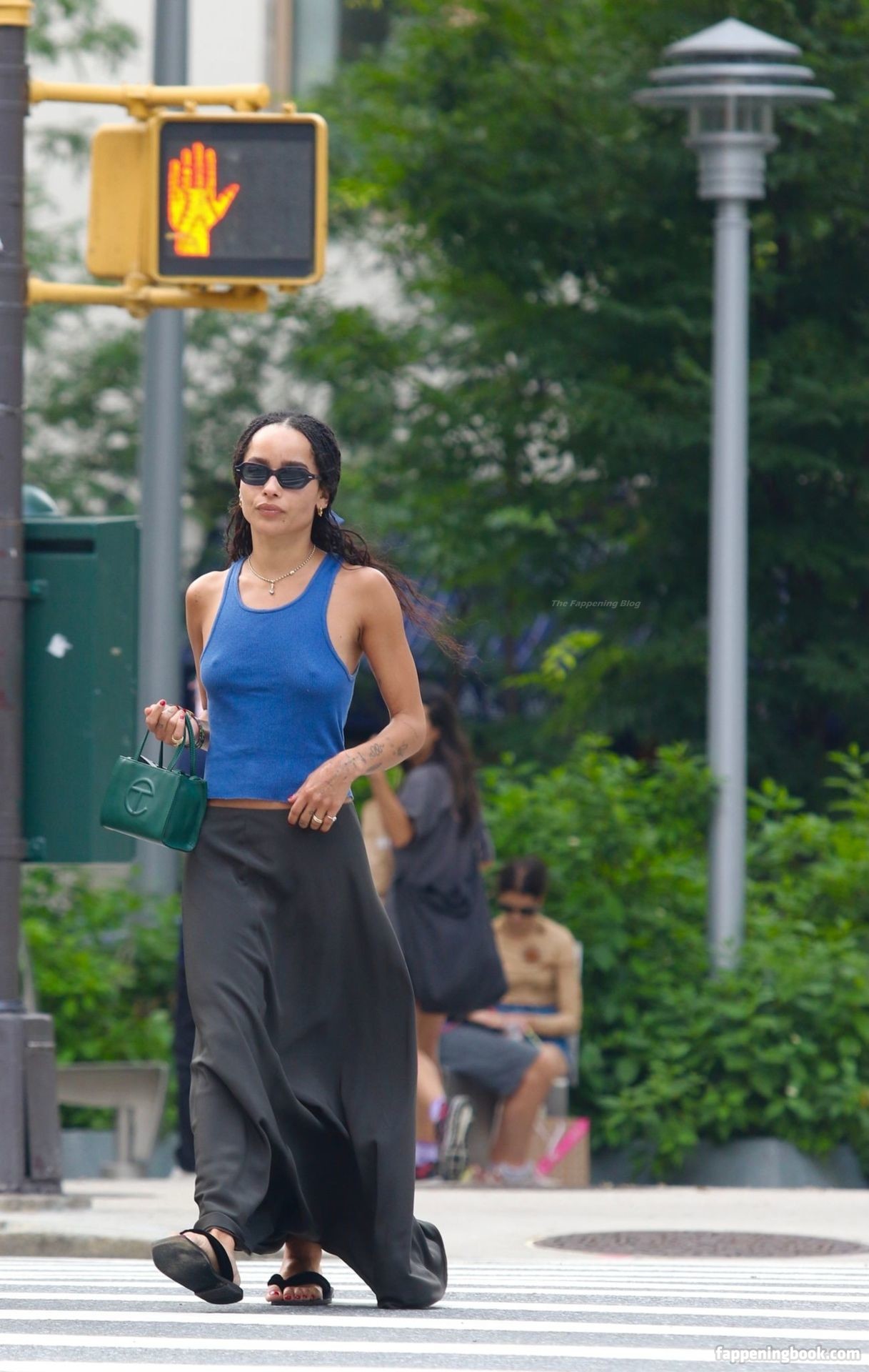 What Is Zoë Kravitz Nude Scene? Expert Breakdown