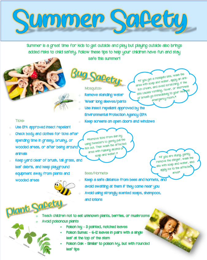 What Makes June Beetle Dangerous? Safety Tips
