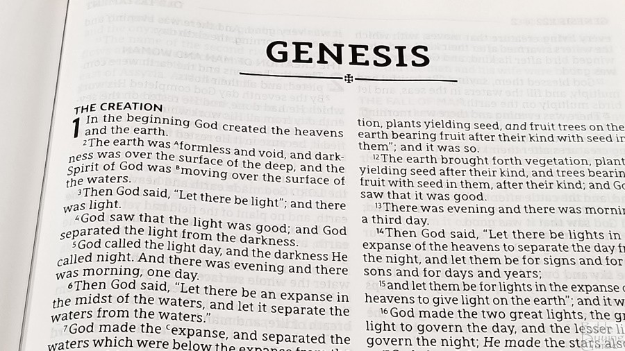 What's In 1995 Nasb Bible? Study Guide
